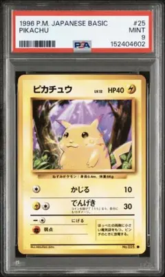 2026年最新】まるのみされたピカチュウpsa10の人気アイテム - メルカリ