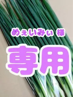 めぇいみぃ様✨専用