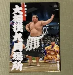 2026年最新】大相撲パンフレットの人気アイテム - メルカリ