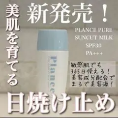 Item thumbnail for item 1f65456f-055e-4147-9ba5-882c4cee6784