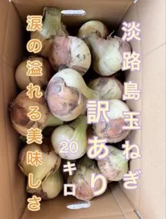 淡路島産 玉ねぎ 訳あり 20kgのサムネイル