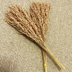 chachan1121様 リクエスト 2点 まとめ商品