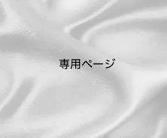 専用ページ