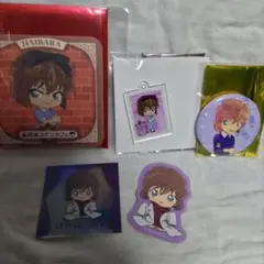 【名探偵コナン】灰原哀【5点セット】