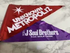 UNKNOWN METROPOLIZ フラッグ