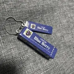 LOTTE Blue Berry ミニチュアチャーム