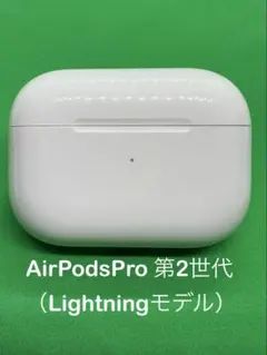 たてっち様 専用 (充電ケース 501)