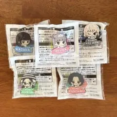 LE SSERAFIM ちびぐるみポーズ！おなまえアクリルパッジ 全5種コンプ