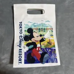 東京ディズニーリゾート バッグ ミッキー 裏がミニー