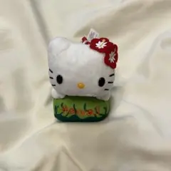 日焼けキティ ハワイ ダイヤモンドヘッド限定