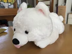 NITORI ニトリ サモエド ぬいぐるみ 犬 いぬ - メルカリ