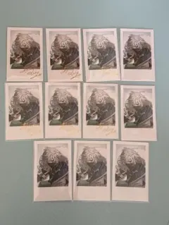 叢雲カゲツ welcome goods チェキ レア ノーマル まとめ売り