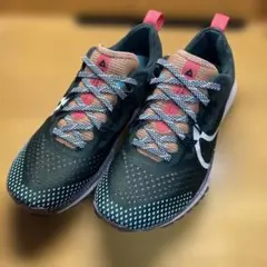 【美品】NIKEナイキ ペガサス トレイル 4 23cm DJ6159-300のサムネイル