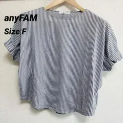 anyFAM ストライプブラウス　ドルマンカットソー ゆったり　F 半袖トップスのサムネイル