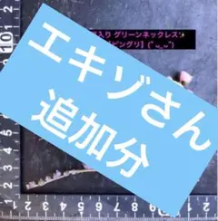 ✨お得な④-⑤本カット✨ ✨希少 ピンク斑入り グリーンネックレス✨