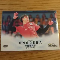 Item thumbnail for item 9f55be06-6797-4f3e-99f0-28306433fc19