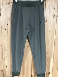 ノースフェイスパンツレディース