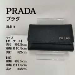 2025年最新】プラダ PRADA サフィアーノメタルの人気アイテム