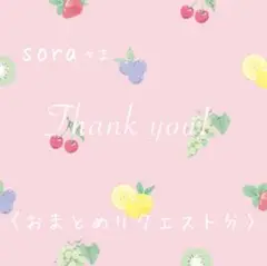 sora様 リクエスト 2点 まとめ商品
