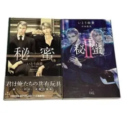 秘蜜　秘蜜Ⅱ いとう由貴　bl小説　2冊セット