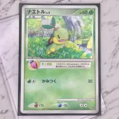 希少プロモ】ナエトル LV.9 001/PPP 第5期プレイヤーズ PROMO - メルカリ