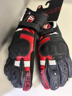 新品 DUCATI Tour C5 ファブリック－レザーグローブ XLサイズ 新品 DUCATI Tour C5 ファブリック－レザーグローブ XLサイズ - メルカリ