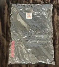 ヒトリエ　Summer flight ビッグTシャツ　XL