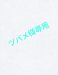 ツバメ様 リクエスト 3点 まとめ商品