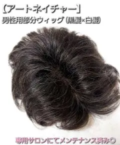 Item thumbnail for item 2b253c64-0ace-41f0-bef3-9783b0b17d4f