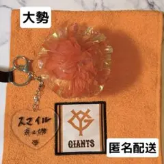 チャームポイントチャーム 大勢 ジャイアンツ ガールズデー 巨人 チャーム