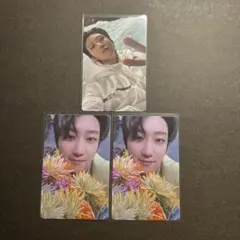 seventeen the8 sector17 トレカ