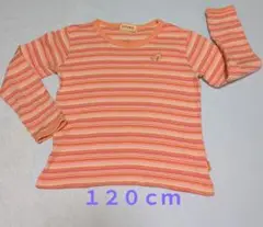 EKUBO ストライプ 長袖カットソー １２０ｃｍcm