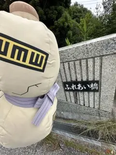 ニジゲンノモリ NARUTO 我愛羅の瓢箪リュック - メルカリ