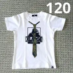 エクストララージ　Tシャツ　120