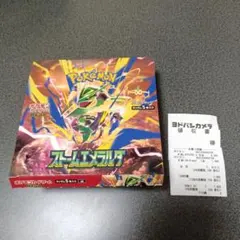 ストームエメラルダ環境 ジム、フジタハルト構築テツノイバラ 構築済みデッキ ストームエメラルダ環境 ジム、フジタハルト構築テツノイバラ 構築済み
