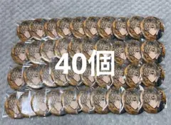 ツイステ　ラギー　ブレジュ　缶バッジ