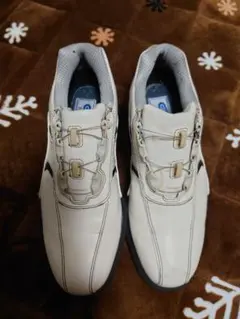 2026年最新】フットジョイ ゴルフシューズ25.5の人気アイテム - メルカリ