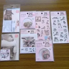 もちまるグッズ　ダイソー