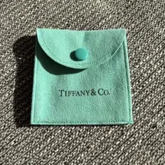 Tiffany & Co. ターコイズ スエード袋