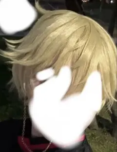 等々力颯 コスプレウィッグ 桃源暗鬼 等々力颯 コスプレ ウィッグ - メルカリ