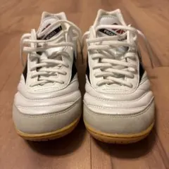 Item thumbnail for item d1f35f63-a6ed-4735-8b50-8cb0263f6d98