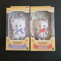新品未開封▽シルバニア　ラテネコの男の子　ペルシャネコの女の子　ネココスチューム