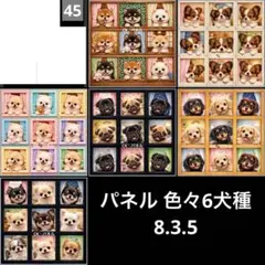 オーダーページ パネル 色々6犬種 8.3.5