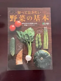 Item thumbnail for item cc2dadaf-5733-49c2-bae2-d481a97e2ffd