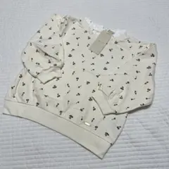 プティマイントレーナー110