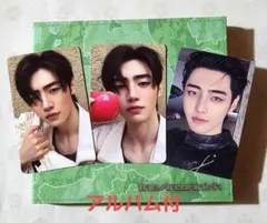 ENHYPEN THE SIN:VANISH FUGITIVESソンフンコンプ