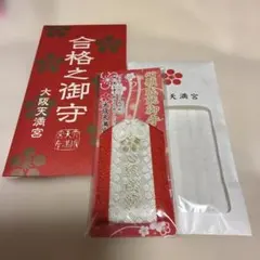 Item thumbnail for item 601261d5-9008-4fc1-a97d-66d6a9d05a6c