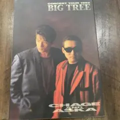 CHAGE and ASKA コンサートツアー 1992パンフレット - メルカリ