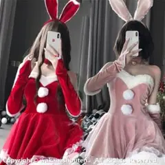 サンタバニーコスプレ 2点セット