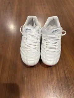 ASICS DSLitePro値下げ交渉⭕️ - メルカリ